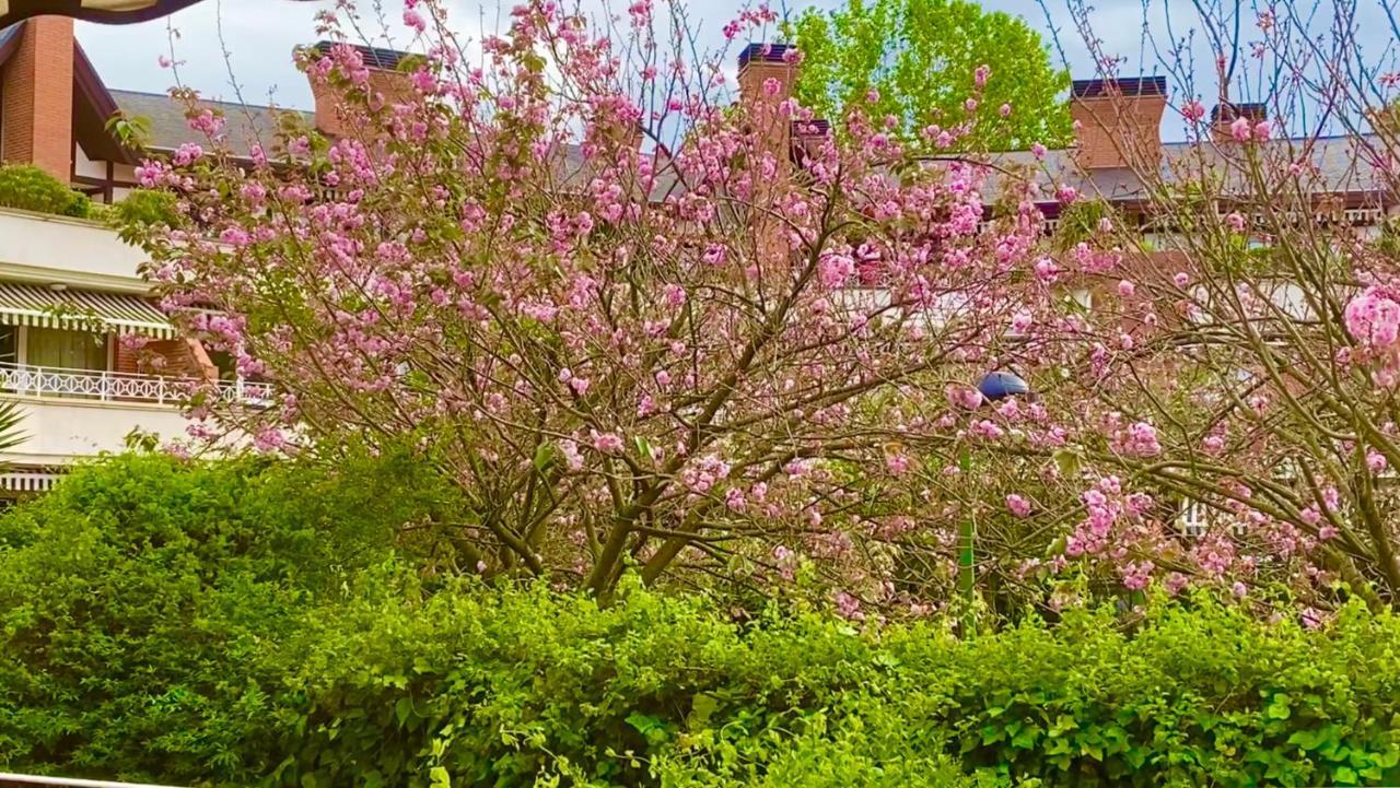 Apartamento Con Jardin Guecho Kültér fotó